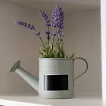 Feel Good & Apartman *