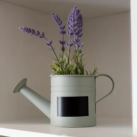 Feel Good & Lägenhet *