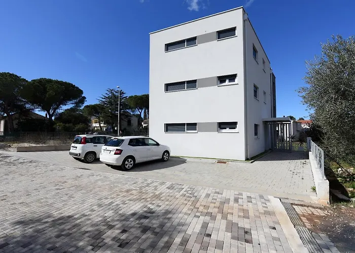 Feel Good & זאדאר