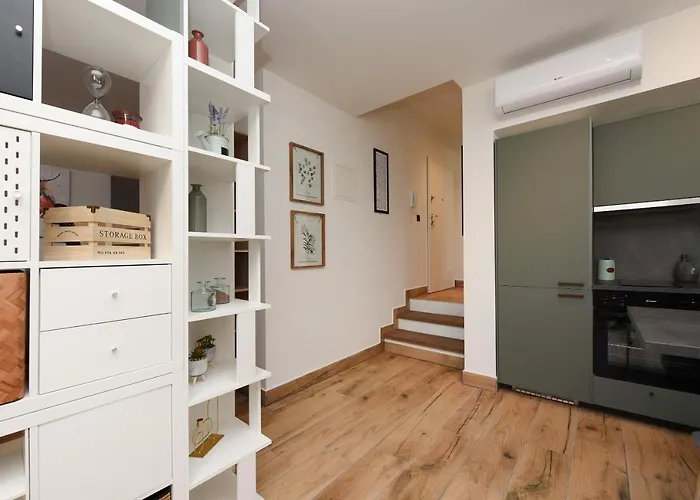 Feel Good & * זאדאר