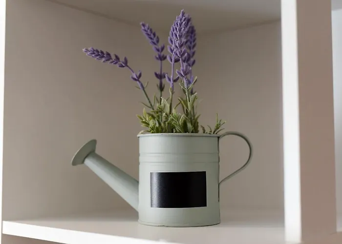 Feel Good & דירה *