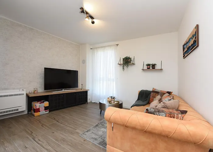 Feel Good & * זאדאר