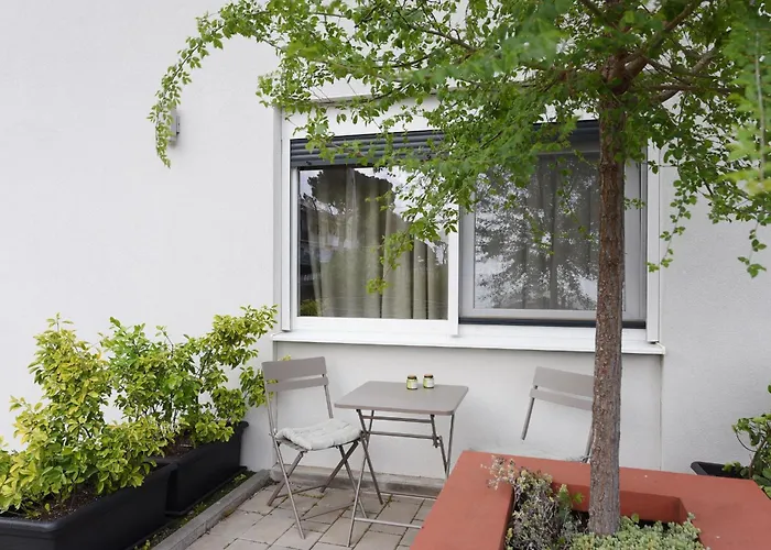 Feel Good & זאדאר